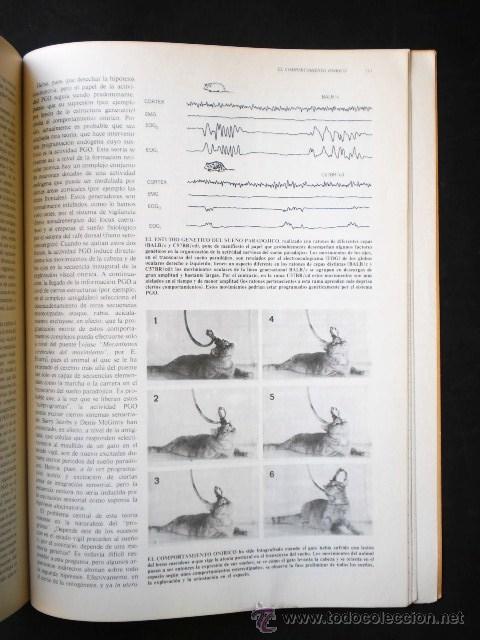 Libros de segunda mano: Diversos (Scientific American): El cerebro, Ed. Labor, 1983 - Foto 4