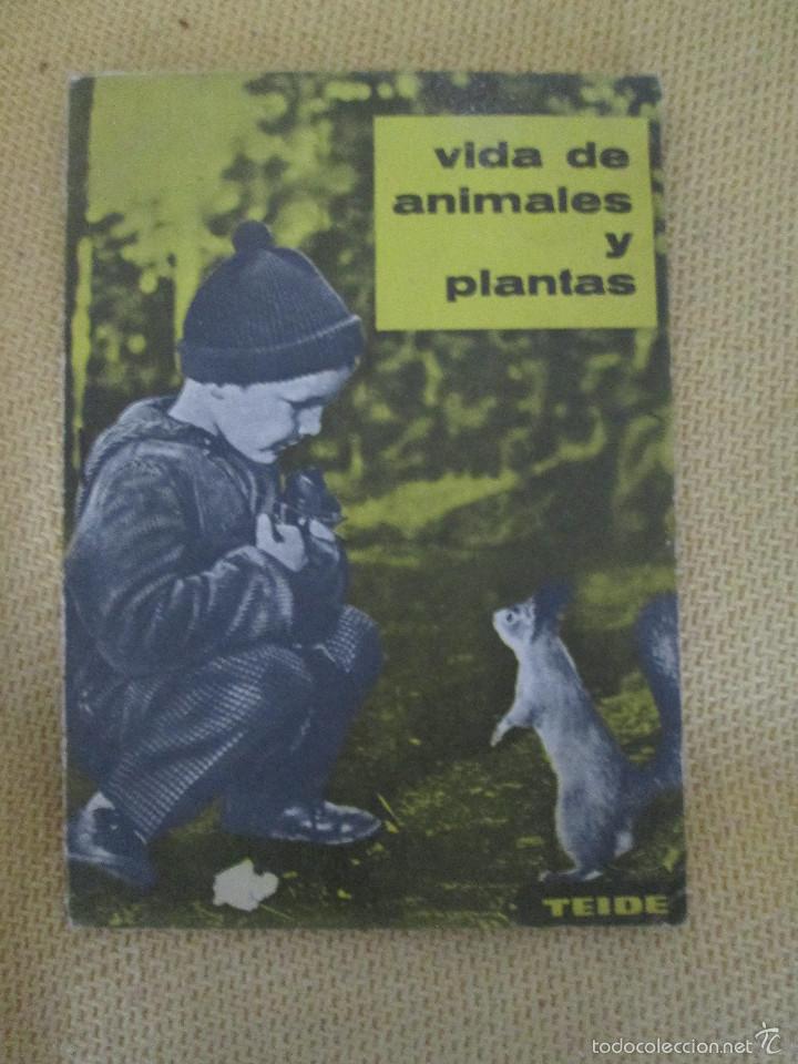 Libros de segunda mano: VIDA DE ANIMALES Y PLANTAS , EXPERIENCIAS , TEIDE 1963 - Foto 1