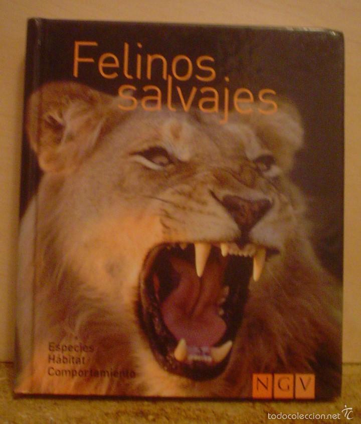 Felinos Salvajes Especies Habitat Comportamient Comprar Libros De Biologia Y Botanica En Todocoleccion