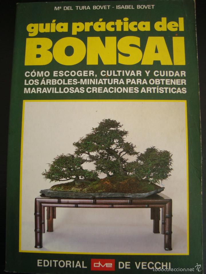 Libros de segunda mano: GU&Iacute;A PR&Aacute;CTICA DEL BONSAI. LIBRO CON IM&Aacute;GENES. REF 3. - Foto 1