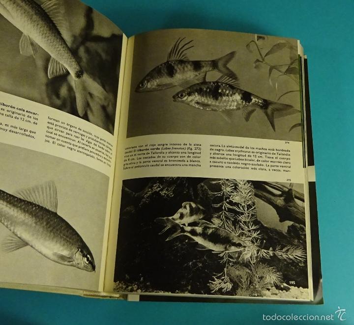 Libros de segunda mano: GRAN ENCICLOPEDIA ILUSTRADA DE LOS PECES. STANISLAV FRANK - Foto 2