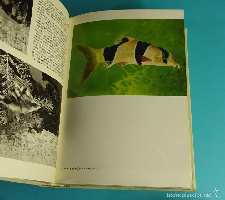 Libros de segunda mano: GRAN ENCICLOPEDIA ILUSTRADA DE LOS PECES. STANISLAV FRANK - Foto 3