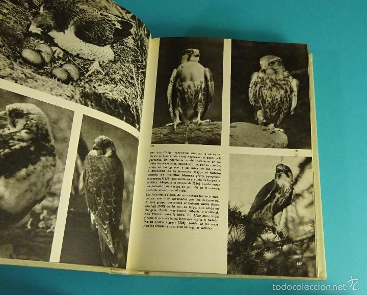 Libros de segunda mano: GRAN ENCICLOPEDIA ILUSTRADA DE LAS AVES. J. HANZAK - Foto 2