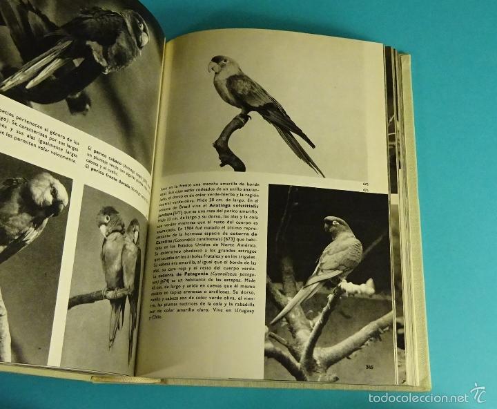 Libros de segunda mano: GRAN ENCICLOPEDIA ILUSTRADA DE LAS AVES. J. HANZAK - Foto 3