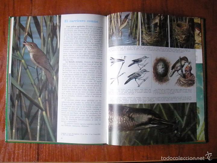 Libros de segunda mano: LIBRO VIDA SECRETA DE LOS ANIMALES EN LOS LAGOS Y RIOS (ED. FHER) - Foto 3