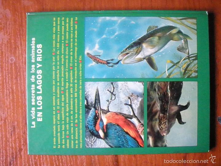 Libros de segunda mano: LIBRO VIDA SECRETA DE LOS ANIMALES EN LOS LAGOS Y RIOS (ED. FHER) - Foto 4