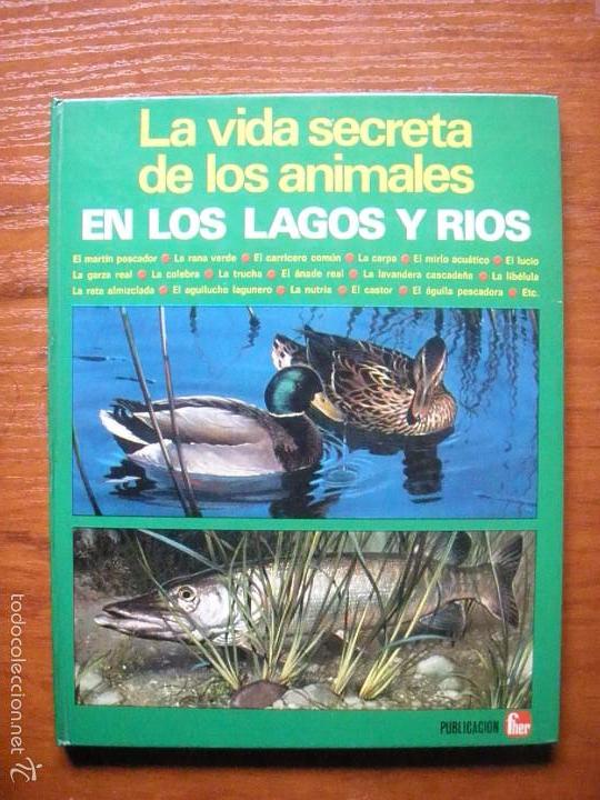 Libros de segunda mano: LIBRO VIDA SECRETA DE LOS ANIMALES EN LOS LAGOS Y RIOS (ED. FHER) - Foto 1