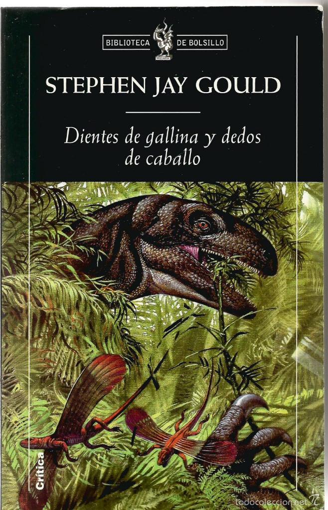 Stephen Jay Gould. Dientes De Gallina Y Dedos D - Vendido En Venta ...