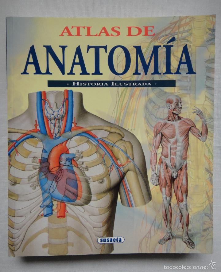 Libros de segunda mano: ATLAS DE ANATOM&Iacute;A; SUSAETA EDICIONES. COMO NUEVO!!! - Foto 1