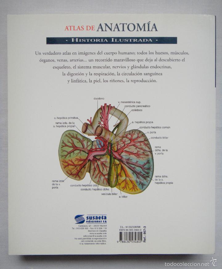 Libros de segunda mano: ATLAS DE ANATOM&Iacute;A; SUSAETA EDICIONES. COMO NUEVO!!! - Foto 2