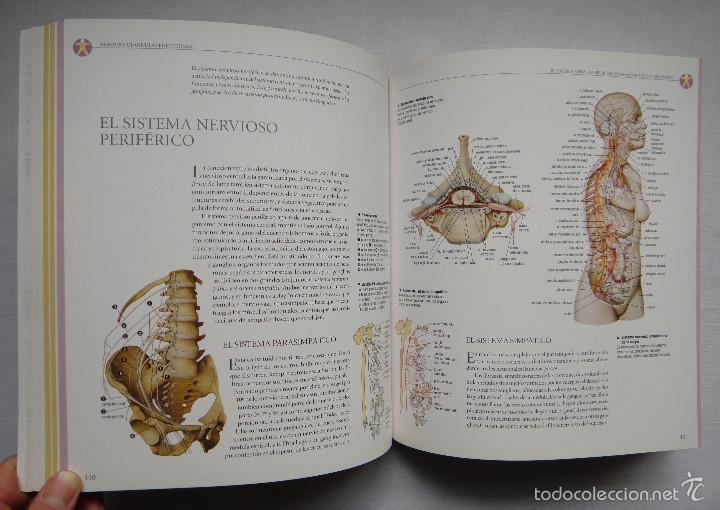 Libros de segunda mano: ATLAS DE ANATOM&Iacute;A; SUSAETA EDICIONES. COMO NUEVO!!! - Foto 3