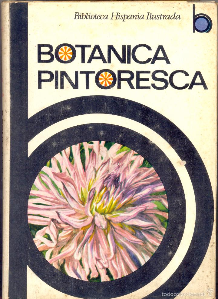 Libros de segunda mano: P&iacute;o Font Quer: Bot&aacute;nica pintoresca. Ed. Ram&oacute;n Sopena, 1964. - Foto 1