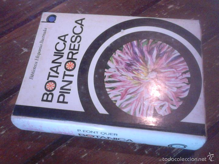 Libros de segunda mano: P&iacute;o Font Quer: Bot&aacute;nica pintoresca. Ed. Ram&oacute;n Sopena, 1964. - Foto 2