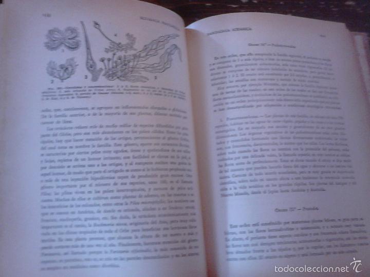 Libros de segunda mano: P&iacute;o Font Quer: Bot&aacute;nica pintoresca. Ed. Ram&oacute;n Sopena, 1964. - Foto 7