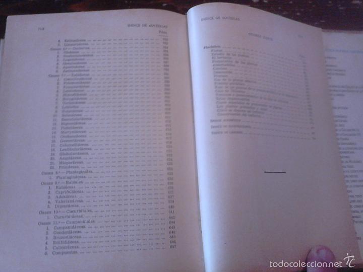 Libros de segunda mano: P&iacute;o Font Quer: Bot&aacute;nica pintoresca. Ed. Ram&oacute;n Sopena, 1964. - Foto 8
