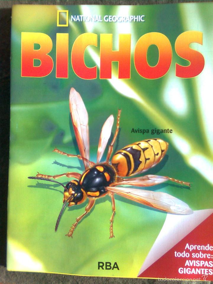 Libros de segunda mano: F&aacute;sc&iacute;culo Bichos - La Avispa gigante (RBA, 2014) - Foto 1