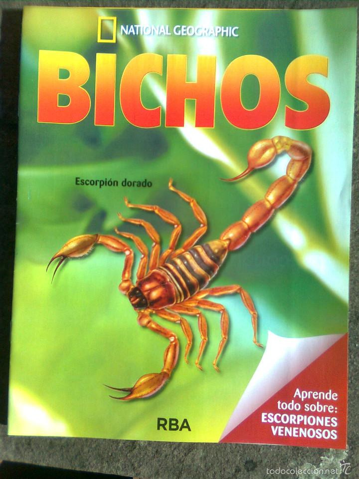 Libros de segunda mano: F&aacute;sc&iacute;culo Bichos - Escorpi&oacute;n dorado y escorpiones venenosos (RBA, 2014) - Foto 1