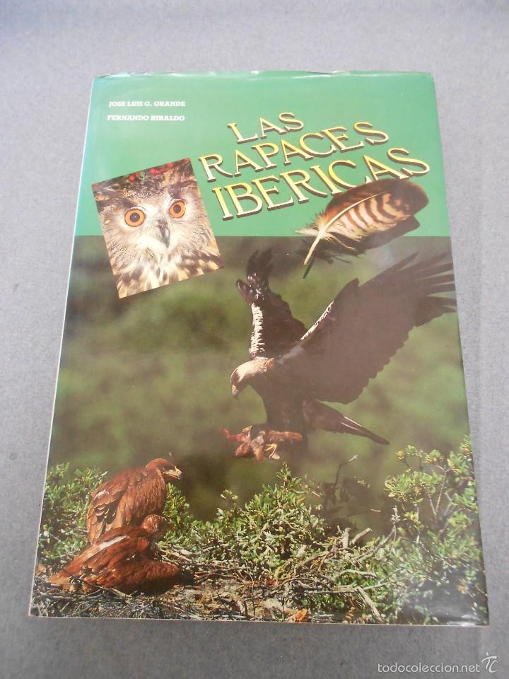 Libros de segunda mano: LAS RAPACES IBERICAS - Foto 1
