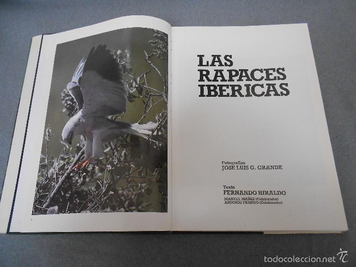 Libros de segunda mano: LAS RAPACES IBERICAS - Foto 2