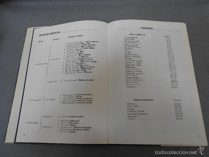 Libros de segunda mano: LAS RAPACES IBERICAS - Foto 3