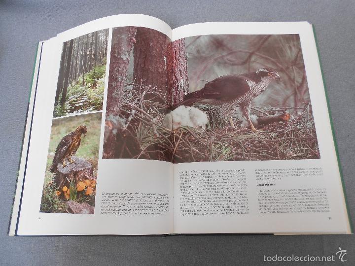 Libros de segunda mano: LAS RAPACES IBERICAS - Foto 15