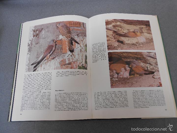 Libros de segunda mano: LAS RAPACES IBERICAS - Foto 22