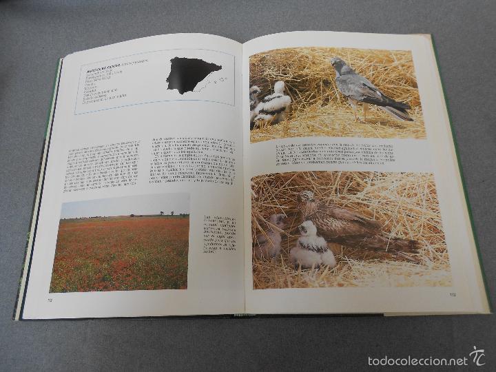 Libros de segunda mano: LAS RAPACES IBERICAS - Foto 24