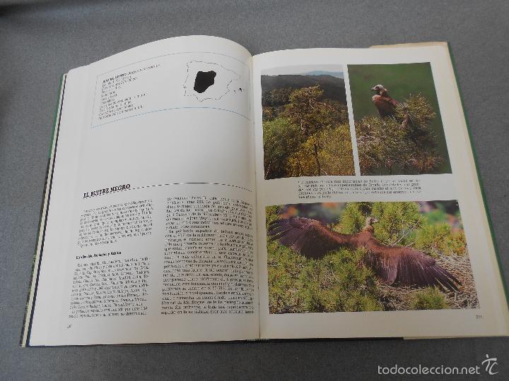 Libros de segunda mano: LAS RAPACES IBERICAS - Foto 27