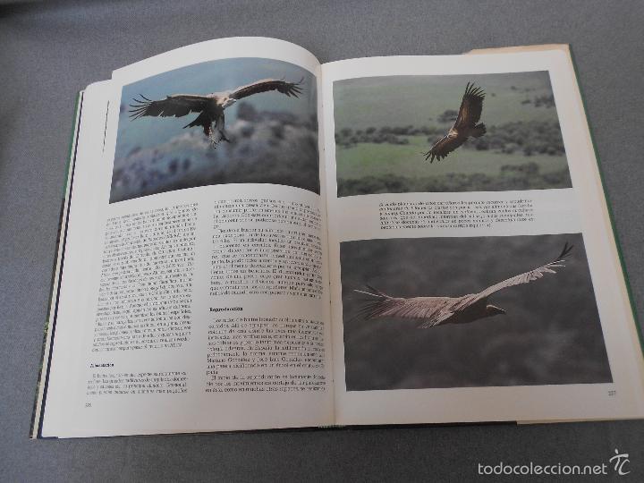 Libros de segunda mano: LAS RAPACES IBERICAS - Foto 28