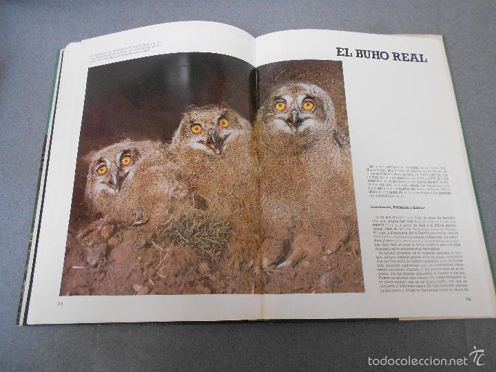 Libros de segunda mano: LAS RAPACES IBERICAS - Foto 30