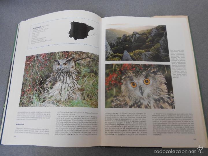 Libros de segunda mano: LAS RAPACES IBERICAS - Foto 31