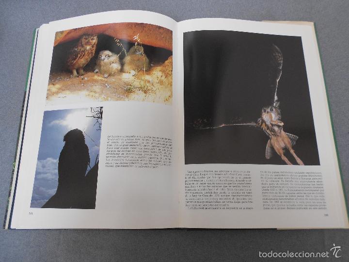 Libros de segunda mano: LAS RAPACES IBERICAS - Foto 32