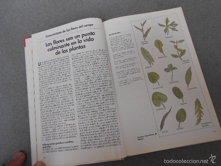 Libros de segunda mano: FLORES DEL CAMPO - Foto 4