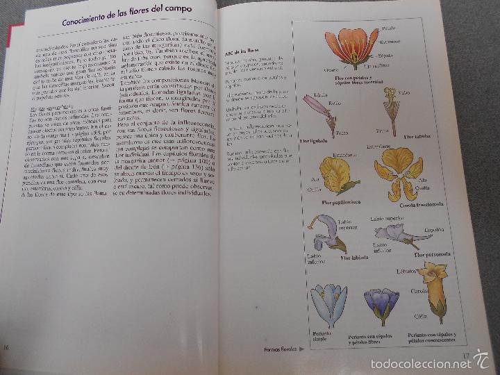 Libros de segunda mano: FLORES DEL CAMPO - Foto 5