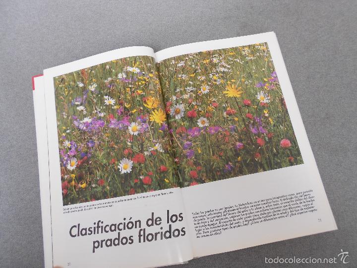 Libros de segunda mano: FLORES DEL CAMPO - Foto 6