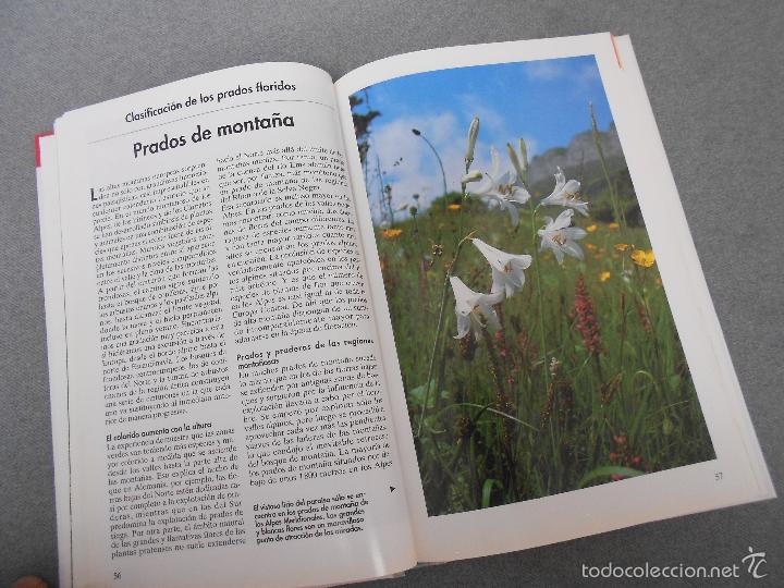 Libros de segunda mano: FLORES DEL CAMPO - Foto 7