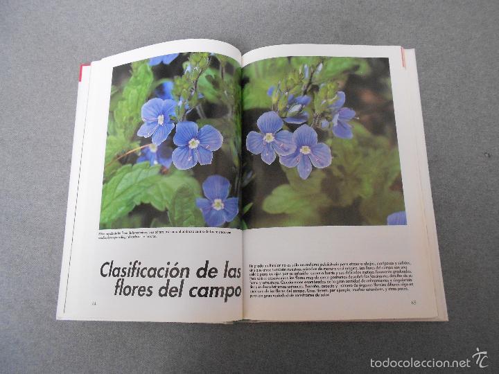 Libros de segunda mano: FLORES DEL CAMPO - Foto 8