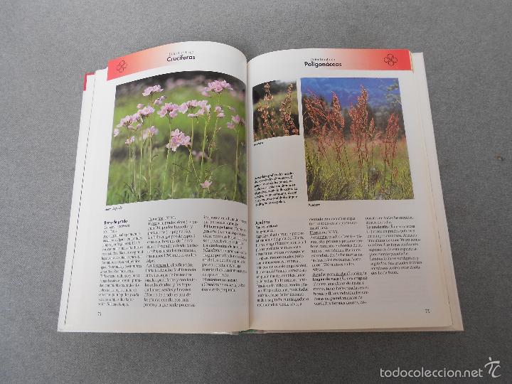 Libros de segunda mano: FLORES DEL CAMPO - Foto 9