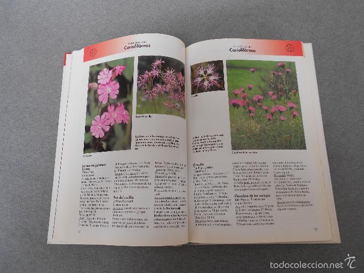Libros de segunda mano: FLORES DEL CAMPO - Foto 10