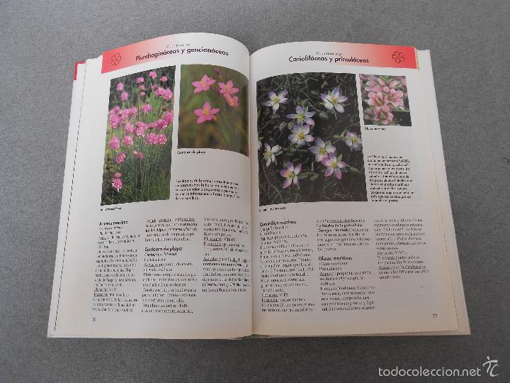 Libros de segunda mano: FLORES DEL CAMPO - Foto 11