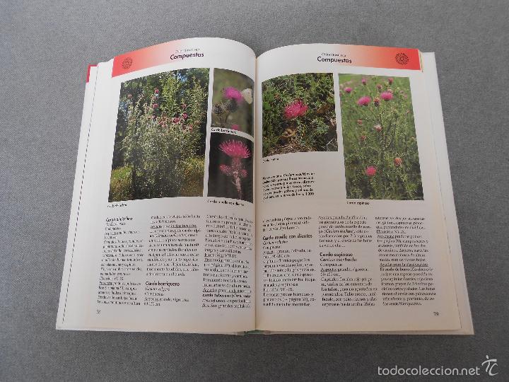 Libros de segunda mano: FLORES DEL CAMPO - Foto 12
