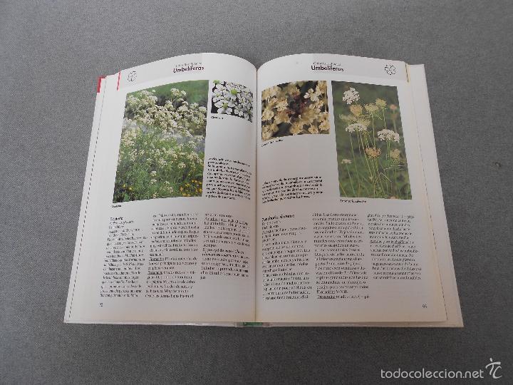 Libros de segunda mano: FLORES DEL CAMPO - Foto 13