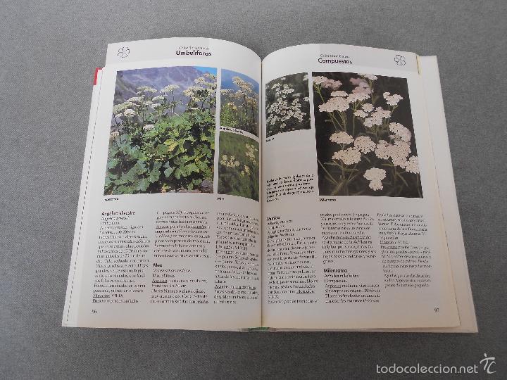 Libros de segunda mano: FLORES DEL CAMPO - Foto 14