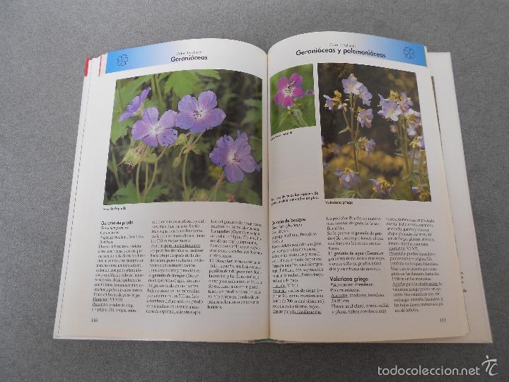 Libros de segunda mano: FLORES DEL CAMPO - Foto 15
