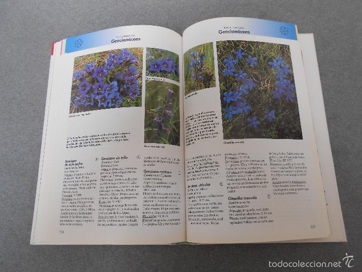 Libros de segunda mano: FLORES DEL CAMPO - Foto 16