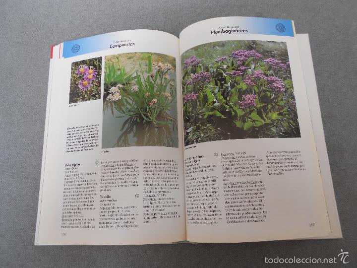Libros de segunda mano: FLORES DEL CAMPO - Foto 17