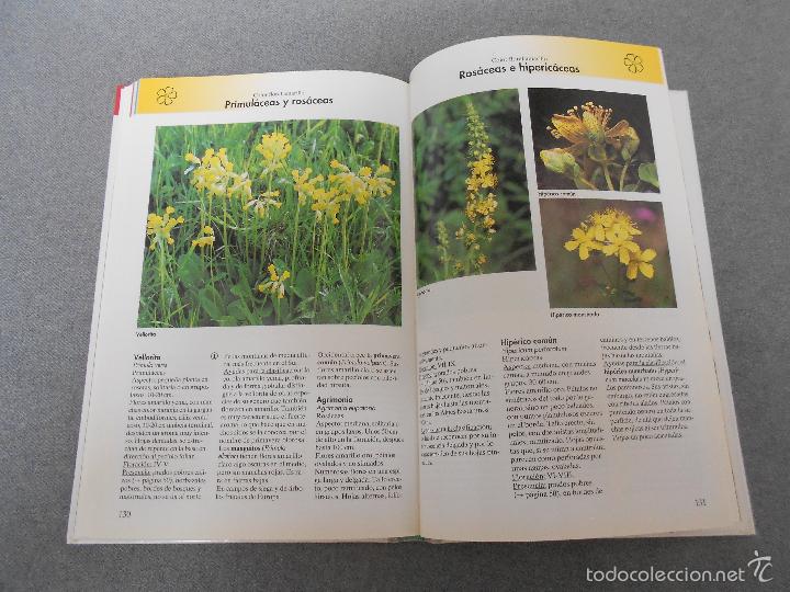 Libros de segunda mano: FLORES DEL CAMPO - Foto 18