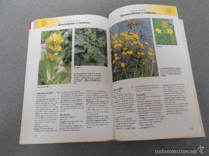 Libros de segunda mano: FLORES DEL CAMPO - Foto 19