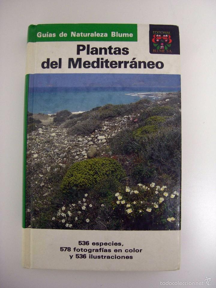 Libros de segunda mano: PLANTAS DEL MEDITERR&Aacute;NEO. BLUME, 1989. - Foto 1