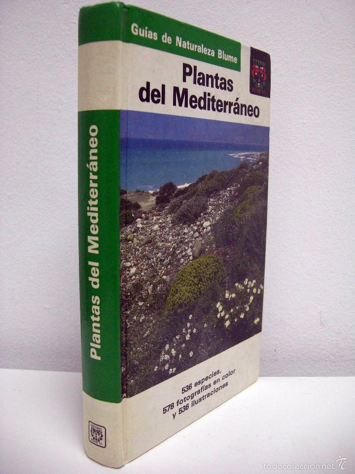 Libros de segunda mano: PLANTAS DEL MEDITERR&Aacute;NEO. BLUME, 1989. - Foto 2